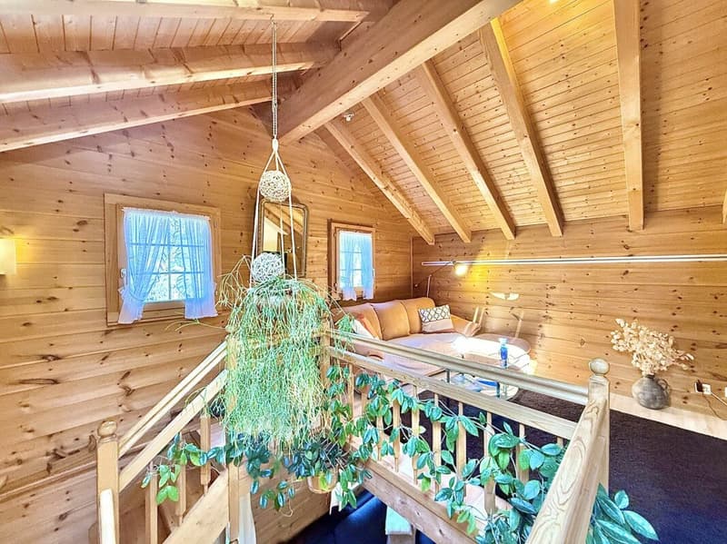 Chalet with 4.5 rooms and 5245m2 of land (16)