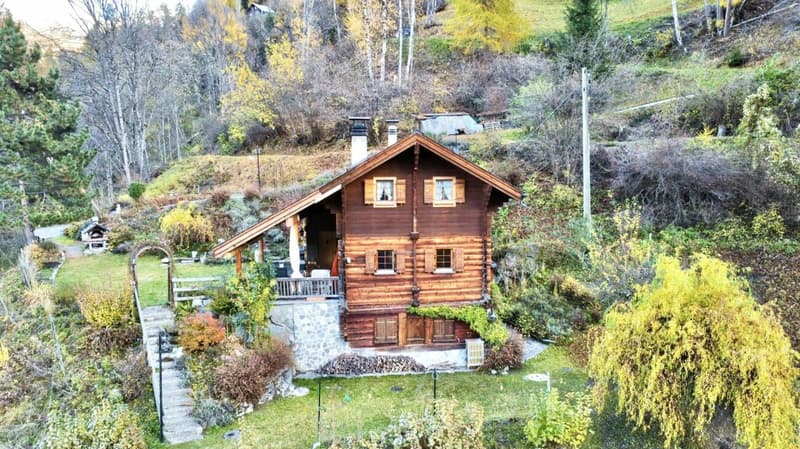 Chalet with 4.5 rooms and 5245m2 of land (3)