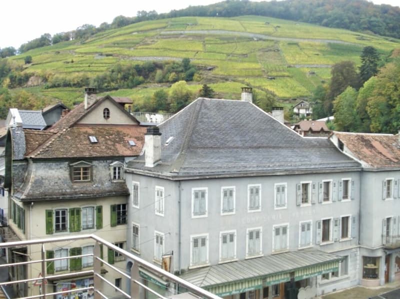 Edificio di rendita nel centro di Bex (8)