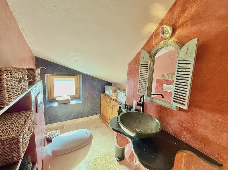 Casa di 405 m2 con terreno di 4'413 m2 a Bex (25)