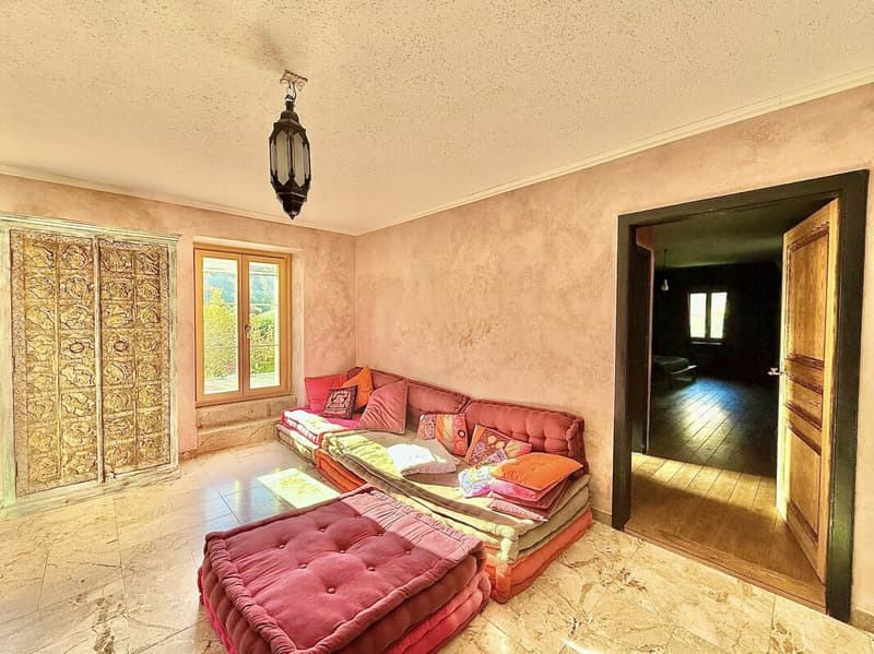 Casa di 405 m2 con terreno di 4'413 m2 a Bex (21)