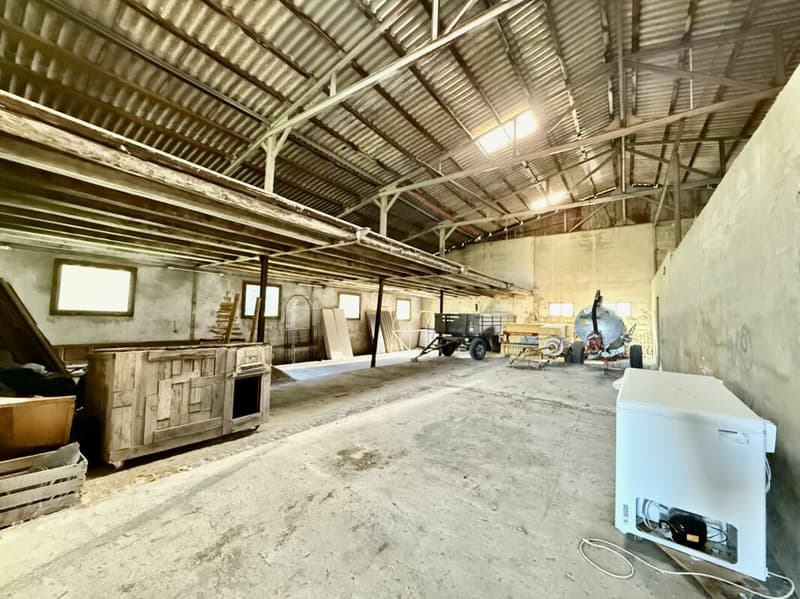 Casa di 405 m2 con terreno di 4'413 m2 a Bex (32)