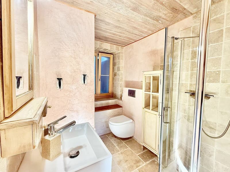 Casa di 405 m2 con terreno di 4'413 m2 a Bex (18)