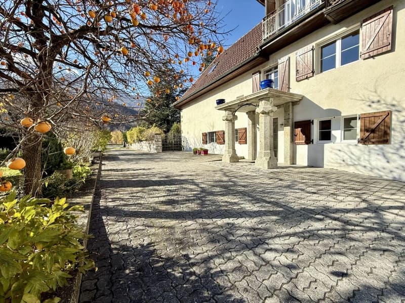 Casa di 405 m2 con terreno di 4'413 m2 a Bex (7)