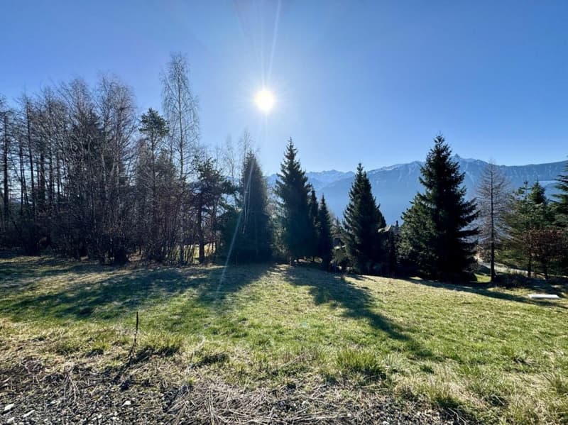 Terrain à Ovronnaz (2)