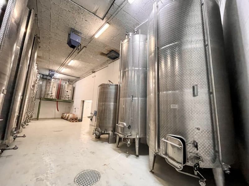 Domaine viticole 10 pièces 578 m2 à Salgesch (9)