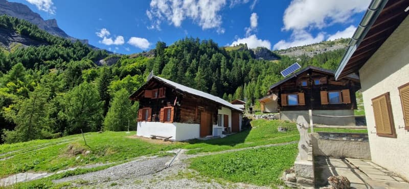 Chalet 3.5 rooms in Savièse (3)