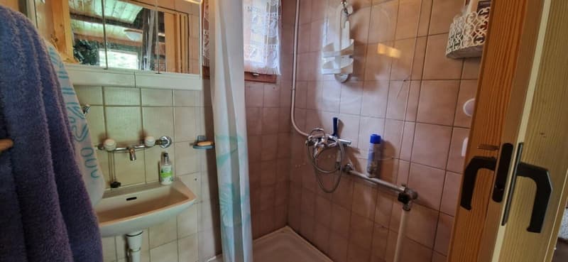Chalet 3.5 rooms in Savièse (11)