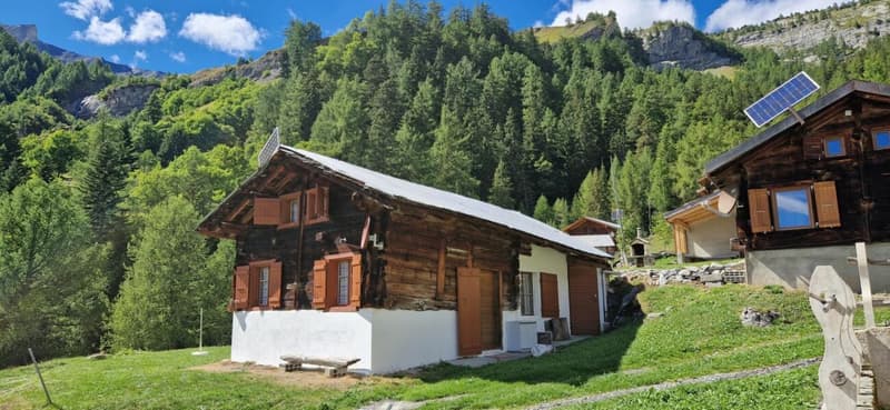 Chalet 3.5 rooms in Savièse (2)