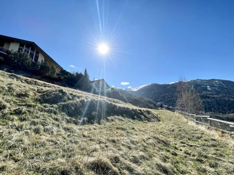 Land in Clèbes (Nendaz) (3)