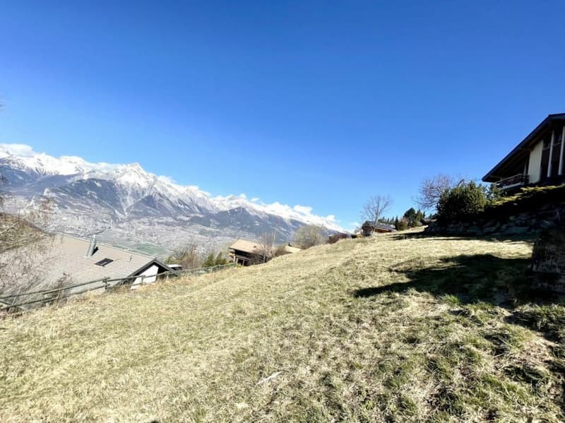 Land in Clèbes (Nendaz) (6)