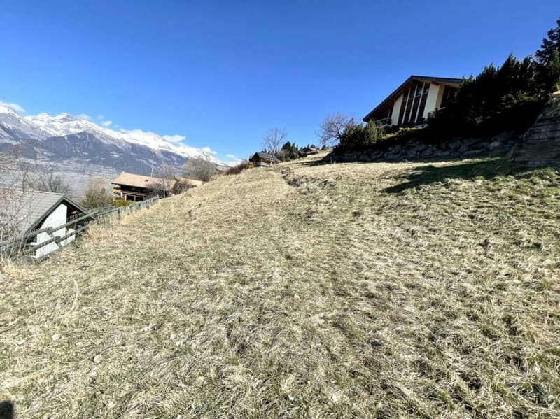 Land in Clèbes (Nendaz) (5)