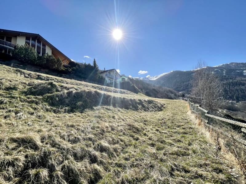 Land in Clèbes (Nendaz) (2)