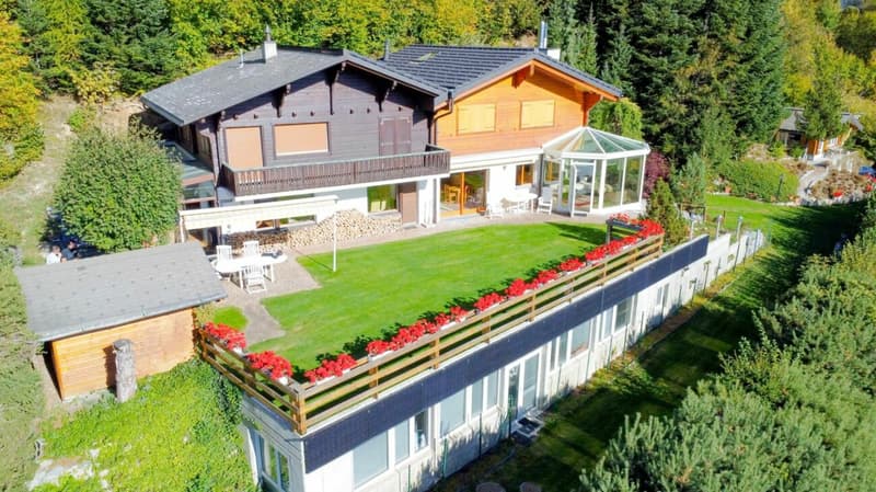9.5-room chalet in Ovronnaz (2)