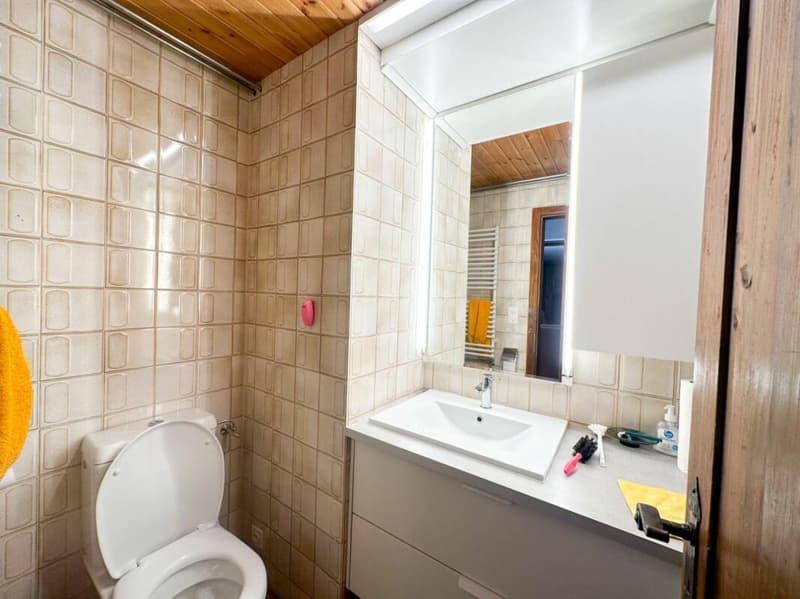 9.5-room chalet in Ovronnaz (44)
