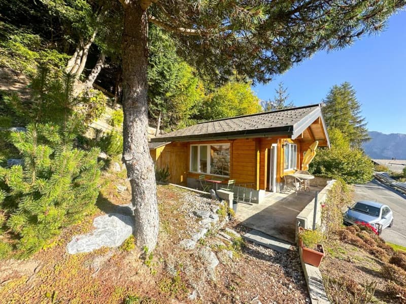 9.5-room chalet in Ovronnaz (9)