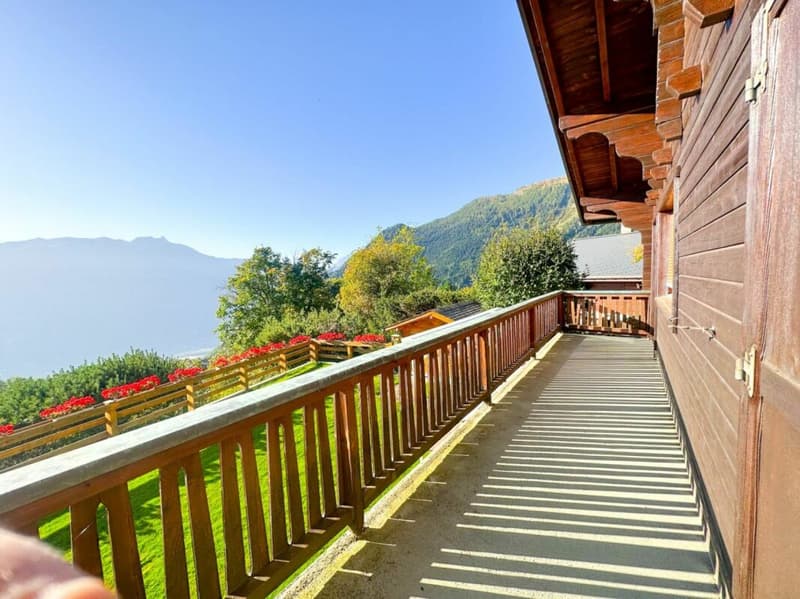 9.5-room chalet in Ovronnaz (32)