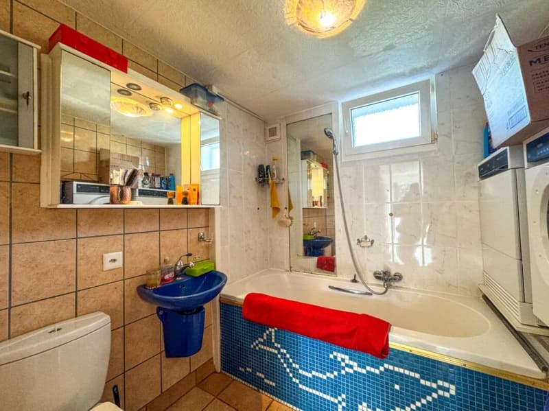Multi-apartment house 10.5 rooms in Savièse (30)