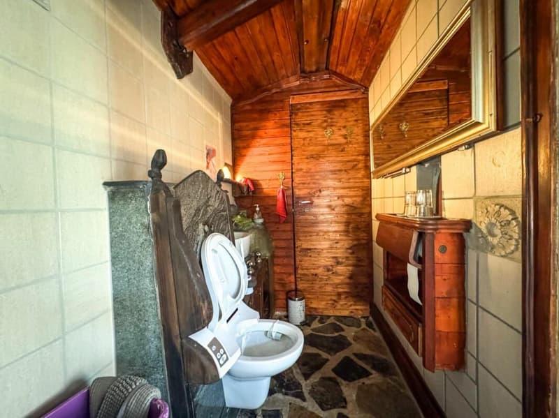 Multi-apartment house 10.5 rooms in Savièse (24)