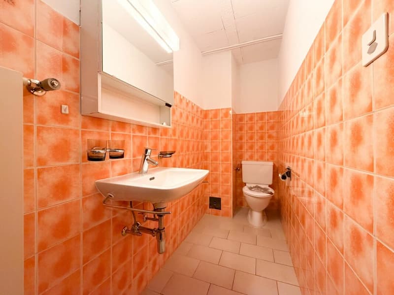 Villa indipendente di 7 locali ad Ardon (18)