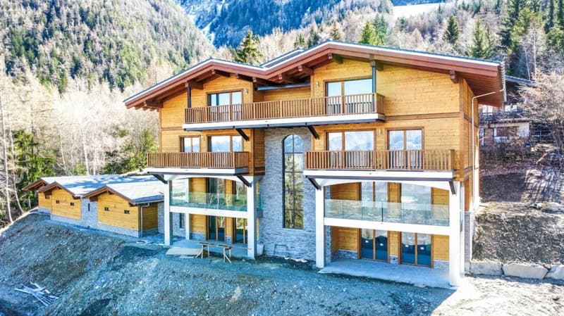 Duplex 3.5 locali a Saxon (4)