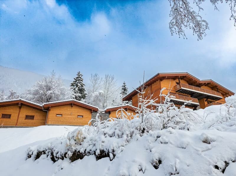 Duplex 3.5 locali a Saxon (2)