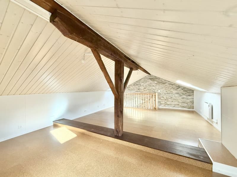 Casa con 2 appartamenti a Fully (12)
