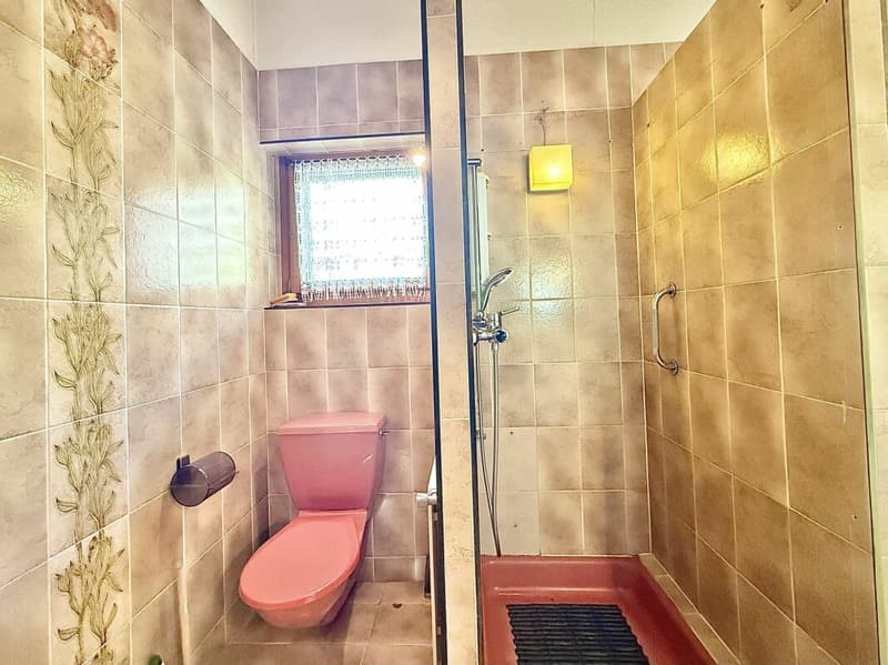 Large house with great potential in Chamoson (23)