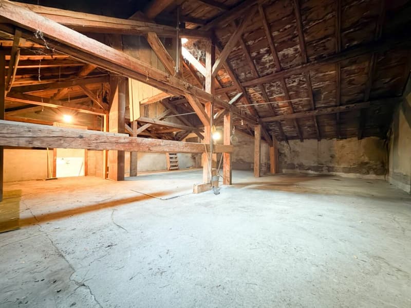 Casa con possibilità di trasformazione in appartamenti multipli a Charrat (20)