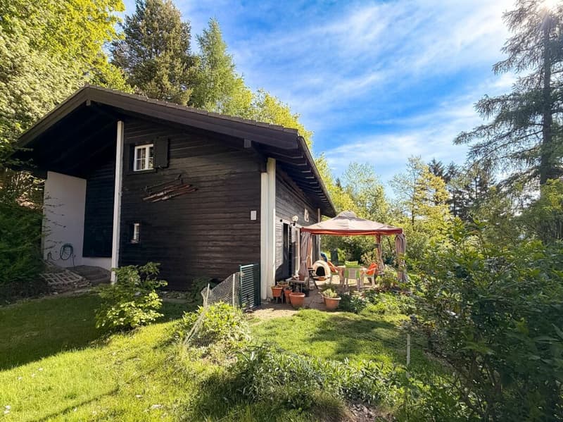 Chalet 6.5 rooms in Prafirmin municipality of Savièse (2)