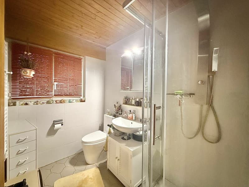 Chalet 6.5 rooms in Prafirmin municipality of Savièse (11)