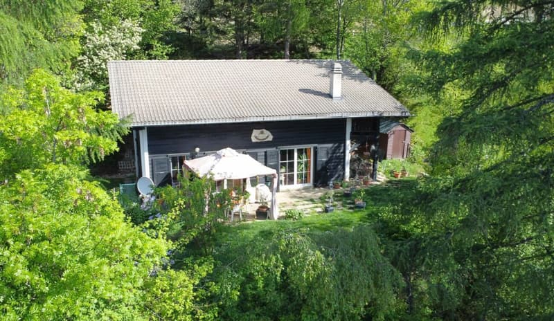 Chalet 6.5 rooms in Prafirmin municipality of Savièse (1)