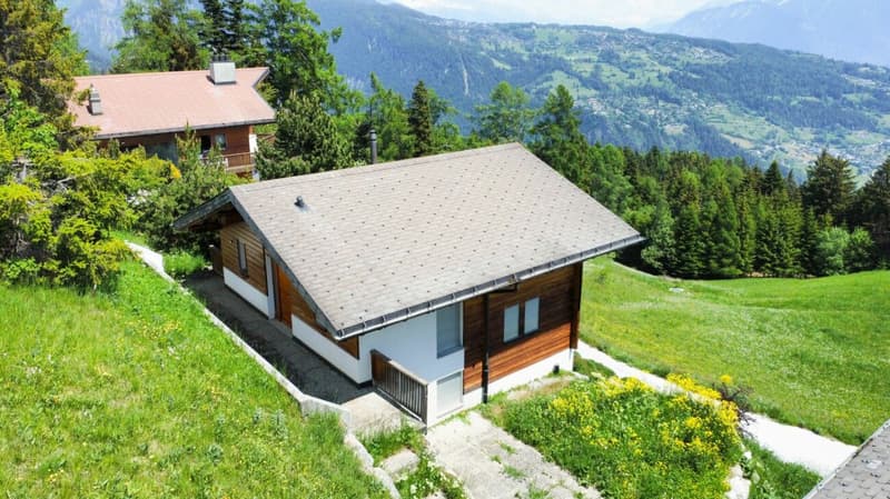 Chalet 5.5 rooms in Anzère (5)