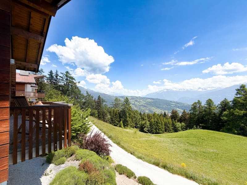 Chalet 5.5 rooms in Anzère (4)