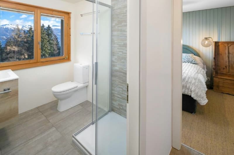 Chalet 5.5 rooms in Anzère (22)