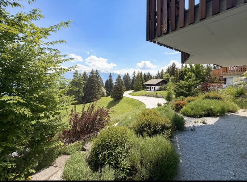 Chalet 5.5 rooms in Anzère (3)