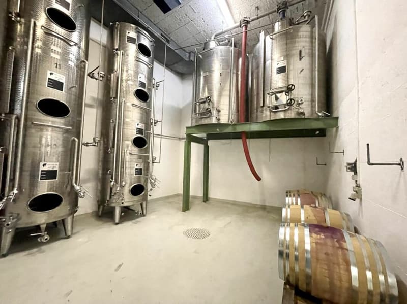 Maison à rénover avec cave aménageable selon désire (12)