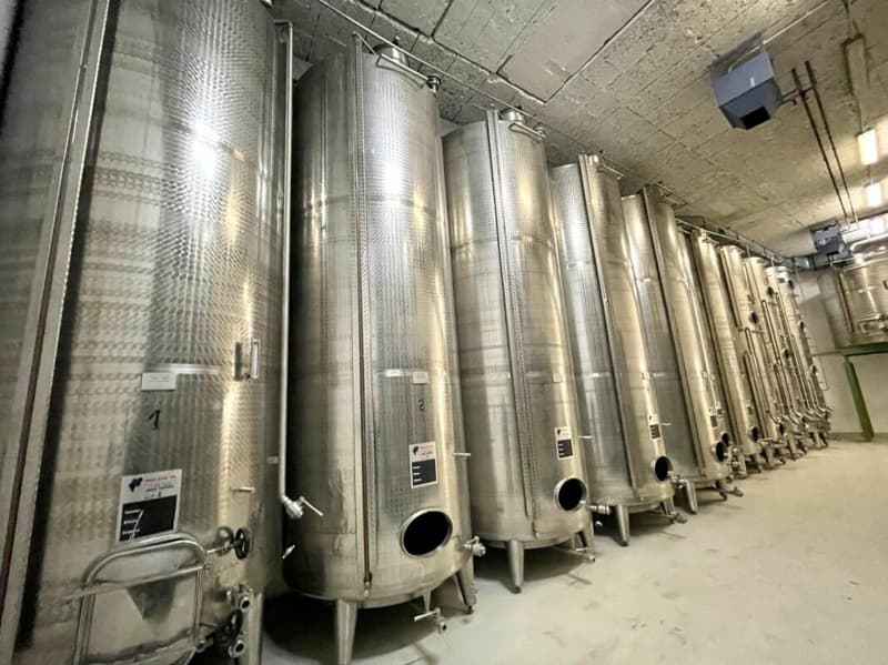 Maison à rénover avec cave aménageable selon désire (11)