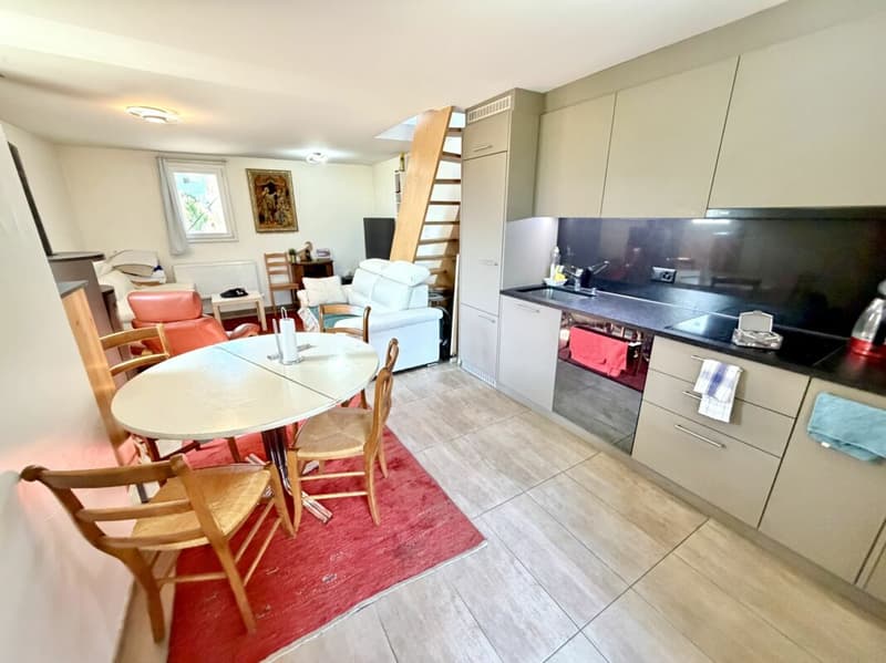 Maison de 3.5 pièce avec situation exceptionnelle à Vetroz (1)