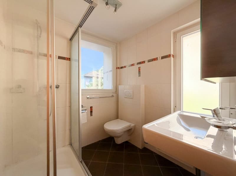 À louer : Maison de village contigu de 6.5 pièces (19)