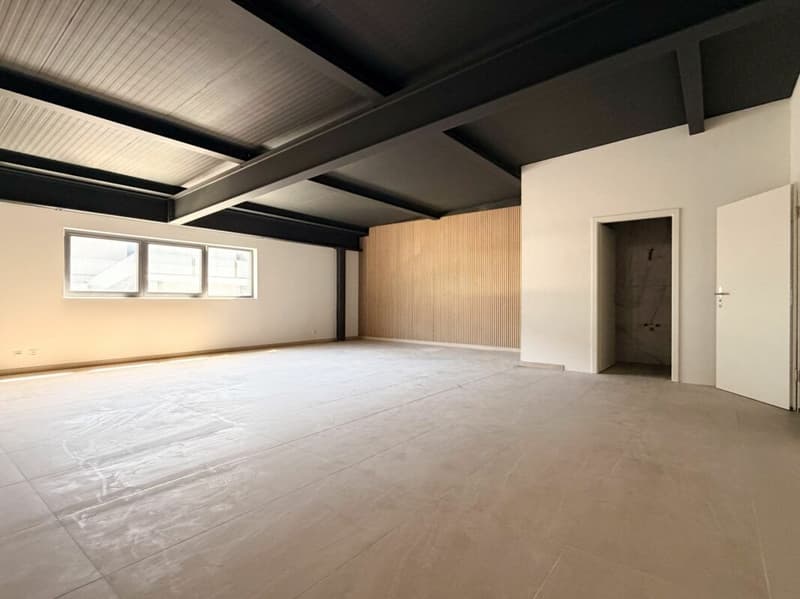 Superbes bureaux / locaux commerciaux NEUF à vendre à Saxon - Limite Riddes (2)