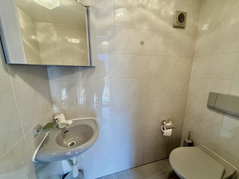 Maison 5.5 pièces sur 3 niveaux avec grande terrasse à St-Martin (30)