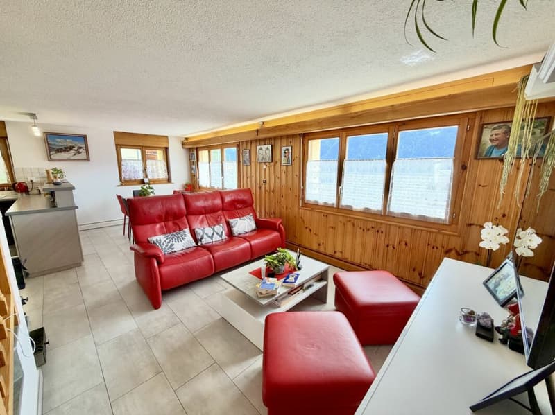 Maison 5.5 pièces sur 3 niveaux avec grande terrasse à St-Martin (16)