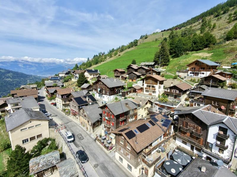 Maison 5.5 pièces sur 3 niveaux avec grande terrasse à St-Martin (13)