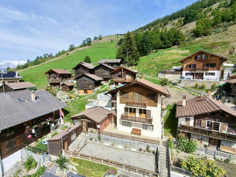 Maison 5.5 pièces sur 3 niveaux avec grande terrasse à St-Martin (3)