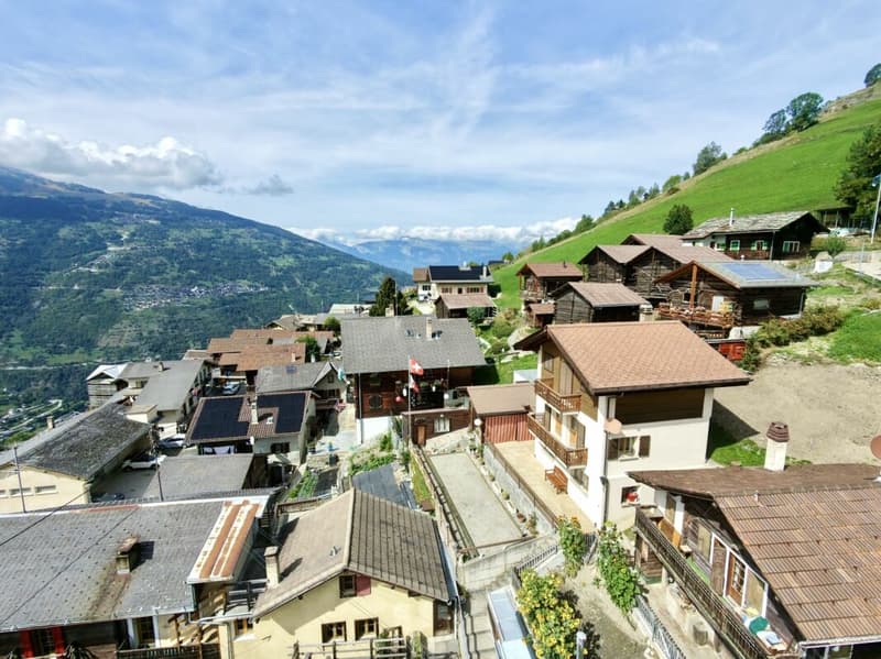 Maison 5.5 pièces sur 3 niveaux avec grande terrasse à St-Martin (10)