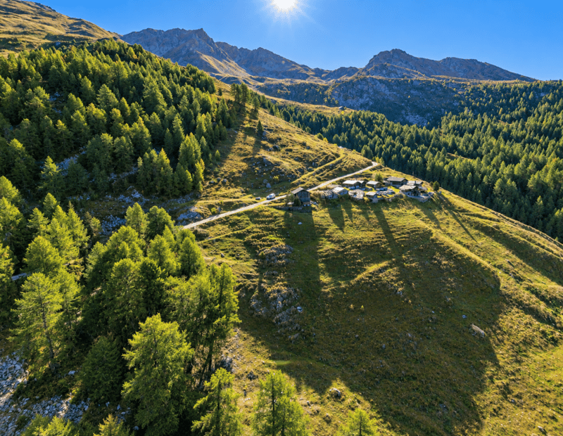 Un bien d'exception au coeur des alpages des Mayens de Mase (7)