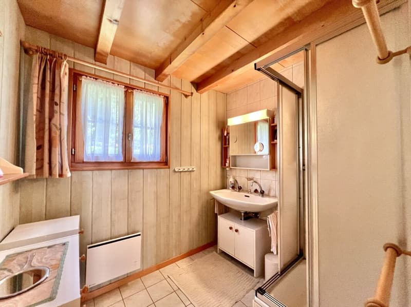 chalet authentique au coeur de la nature aux Mayens-de-la-Zour (Savièse) (18)