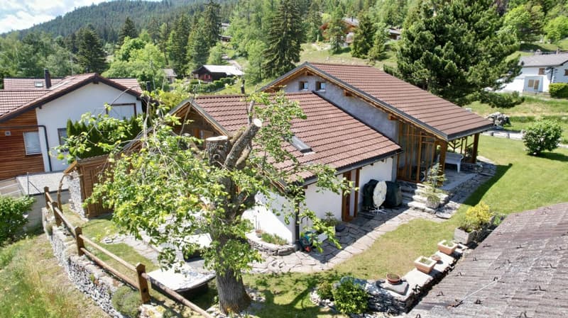 chalet authentique au coeur de la nature aux Mayens-de-la-Zour (Savièse) (3)