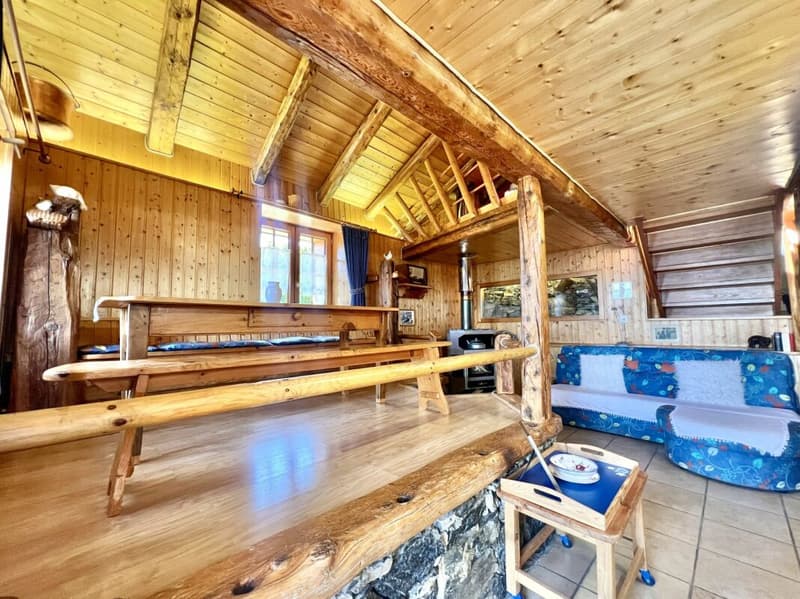 chalet authentique au coeur de la nature aux Mayens-de-la-Zour (Savièse) (12)